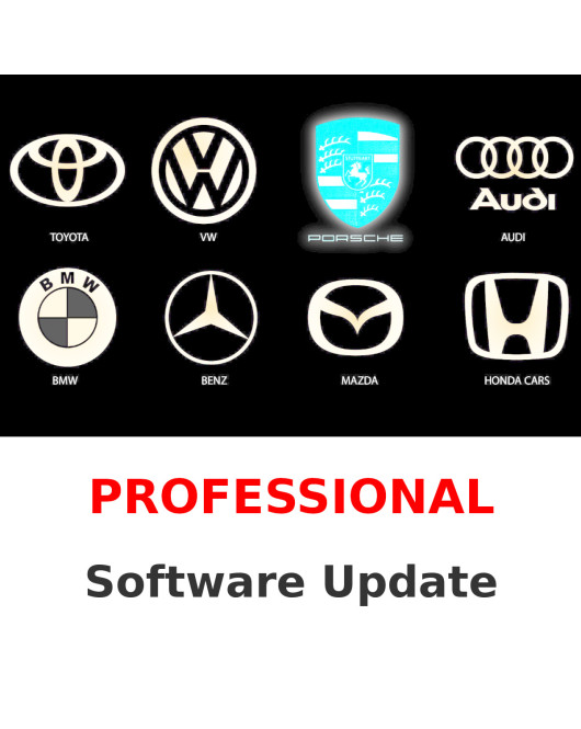 OEM Professional Diagnostic Update